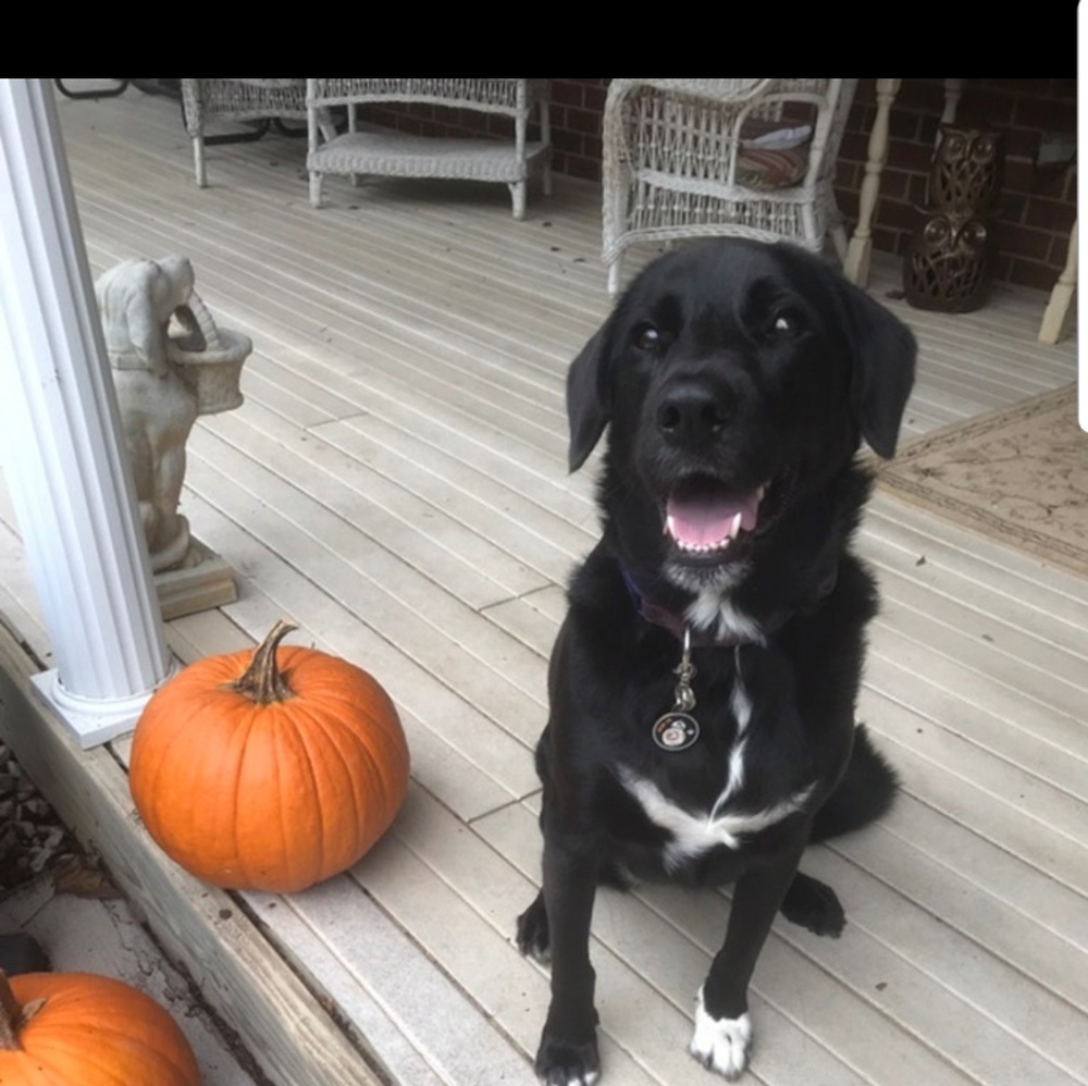 Meet your Posher, Cathy